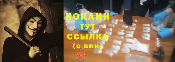 spice Беломорск