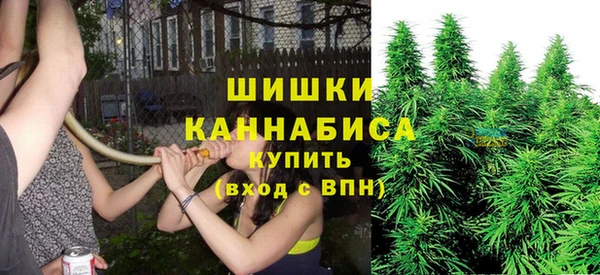 эйфоретик Новодвинск