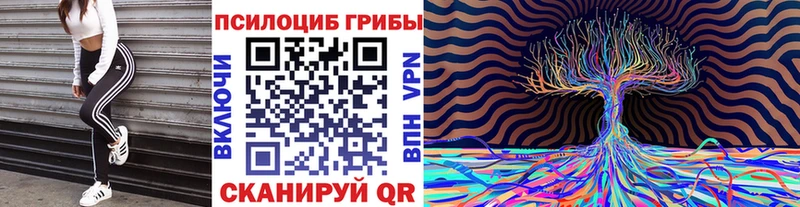 блэк спрут ONION  Кола  Галлюциногенные грибы MAGIC MUSHROOMS 